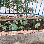 Apartman Paska Preko