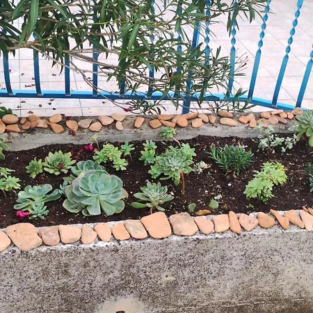 Apartmán Paska Preko